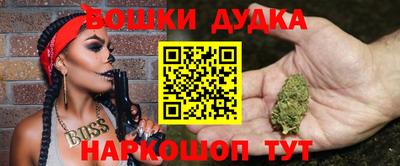 Альфа ПВП Гатчина