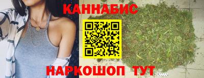 Альфа ПВП Гатчина